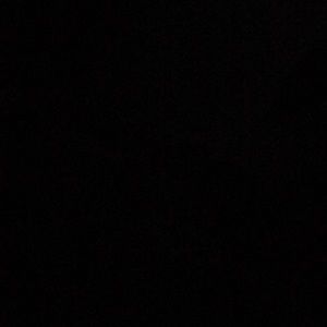 Meet your Posher, Jasmin